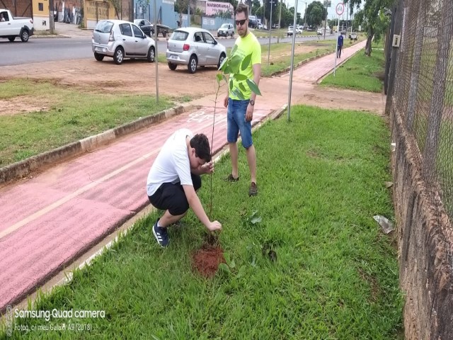 Semea e Colégio Cotiguara realizam plantio de 112 mudas em canteiro da Avenida JK 