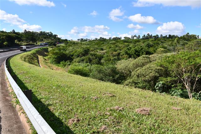 Parque Municipal dos Ipês proporcionará melhor qualidade ambiental a Prudente