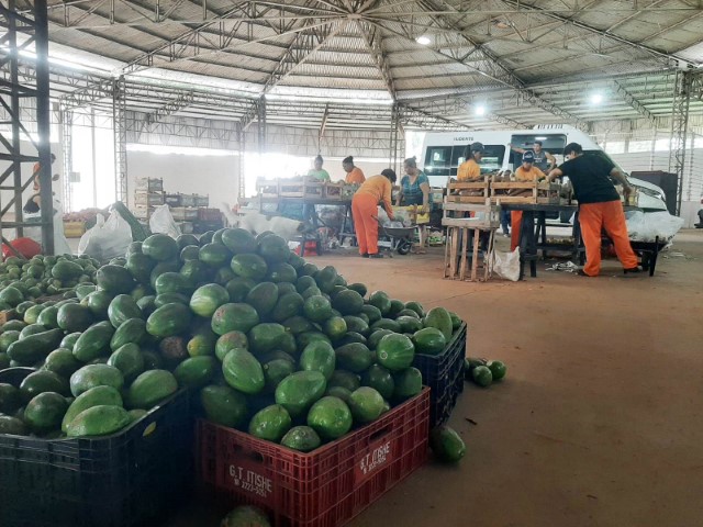 17ª entrega do PAA repassa 18 toneladas de alimentos a 33 entidades de Prudente
