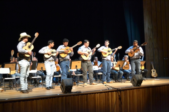 Orquestra Municipal de Viola realiza ensaio aberto neste domingo no Matarazzo
