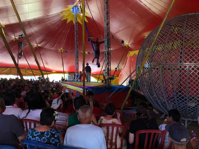 Cidade da Criança disponibilizará 300 entradas gratuitas ao circo nesta sexta