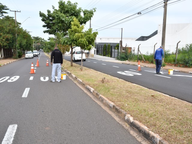 Semob reforça sinalização de solo para orientar sobre limites de velocidade 