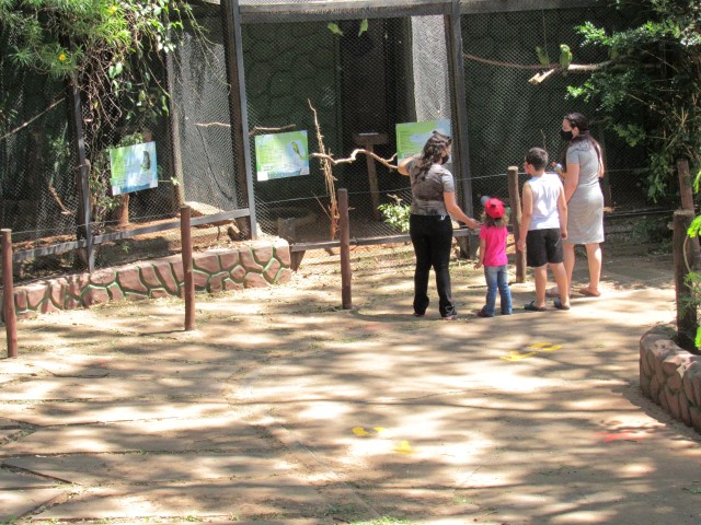 Zoológico da Cidade da Criança reabre ao público durante semana