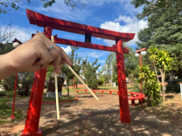 1º Feira de Artesanato e Culinária Japonesa será sexta e sábado, na Praça das Cerejeiras
