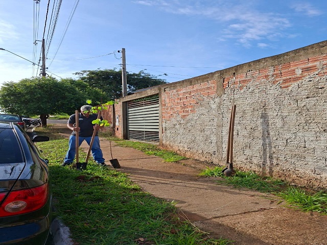 Semea encerra Semana Mundial do Meio Ambiente com plantio de árvores na Zona Norte