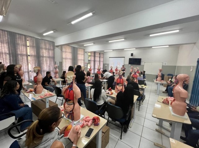 Orientadores pedagógicos da Seduc recebem formação para trabalho com torso humano