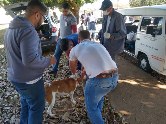 Unidade de Vigilância de Zoonoses promove plantões nesta quinta e sexta-feira