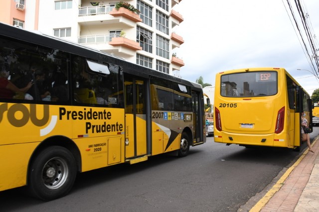 Feriado de domingo terá linhas extras de ônibus gratuitos; serão 29 linhas com 41 carros