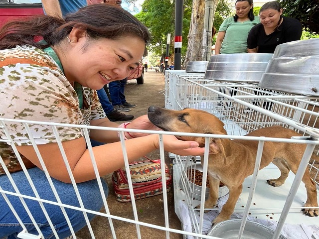 Feira de adoção e missa marcam o Dia Mundial dos Animais neste sábado
