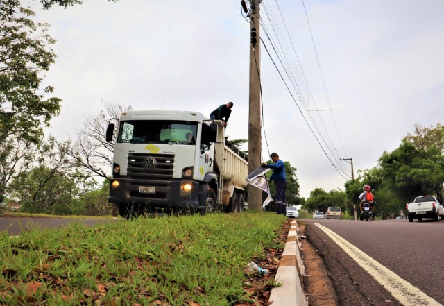 Ação conjunta da Semea e Sedepp retira placas irregulares de canteiros em  Prudente