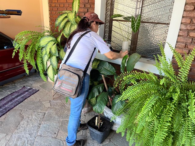 Sesau inicia Levantamento Rápido de Índices para Aedes aegypti em mais de 4 mil imóveis