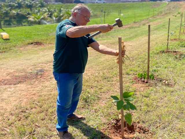 Semea realiza plantio de 250 mudas próximo à Avenida da Cidade da Criança