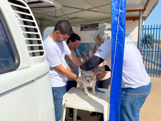 UVZ anuncia mais dois plantões de chipagem nos dias 04 e 05 de novembro