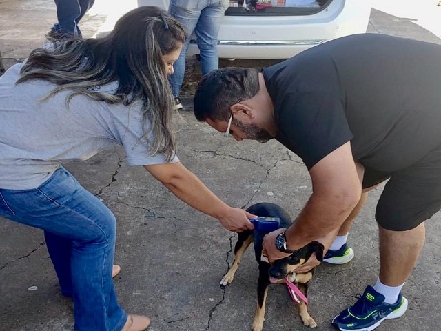 UVZ anuncia plantão no Santa Clara, bairro onde foi confirmado caso de leishmaniose humana 