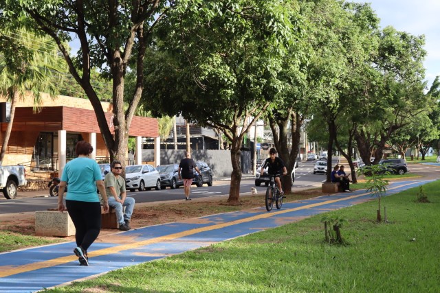 Com recesso das escolinhas, alternativas gratuitas ajudam a manter a prática física no fim de ano
