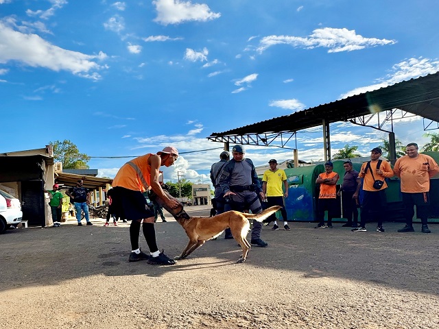 Prudenco promove treinamento para proteger coletores em situações com cães