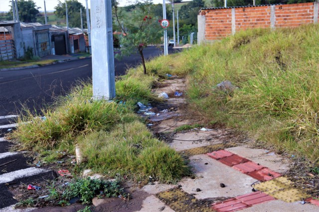 Seplan notifica proprietários para manter terrenos limpos