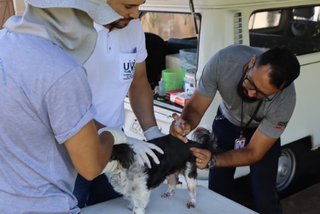 Desabastecimento no Estado suspende vacinação antirrábica em Presidente Prudente