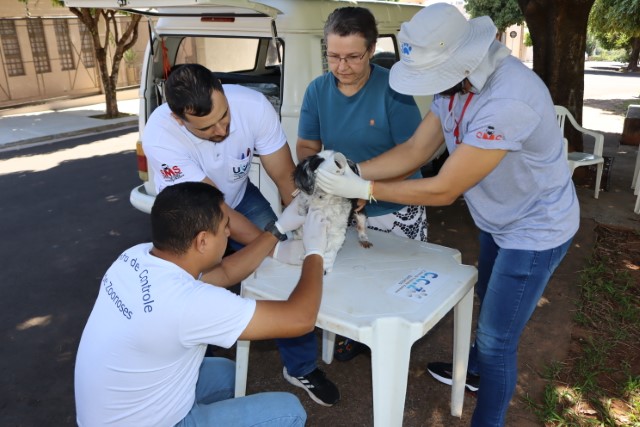 UVZ promove ação com coleta de sangue e microchipagem neste sábado no João Domingos Netto