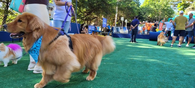 Prefeitura inaugura novo Parcão no Parque do Povo com ações voltadas ao bem-estar animal
