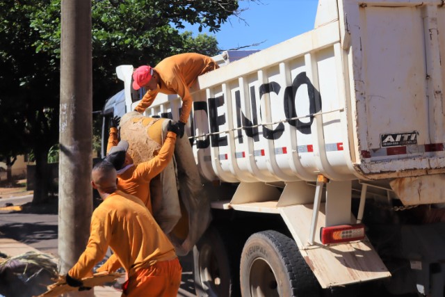 Mutirão Cata-treco chega a última semana; caminhões percorrem ruas da zona leste 