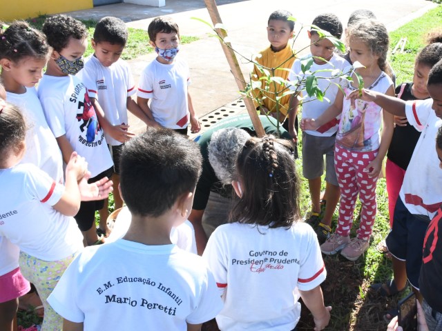 Seduc inicia atendimento de férias em duas unidades de educação infantil nesta terça (3) 