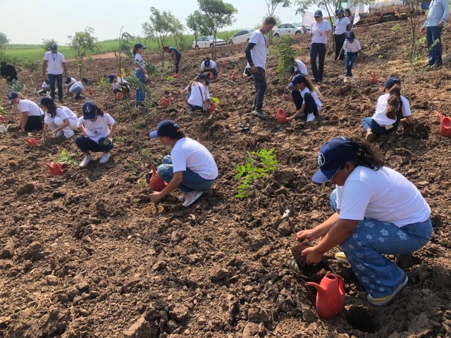 EM Ettore Marangoni participam do Plantando Verde e Colhendo Vida e visitam a Alto Alegre