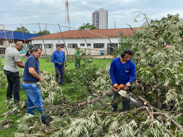 Semepp coordena zeladoria no Centro Olímpico e Estádio Caetano Peretti