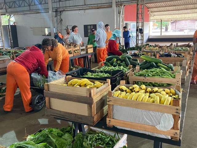 Programa de Aquisição de Alimentos realiza 24º entrega de alimentos 