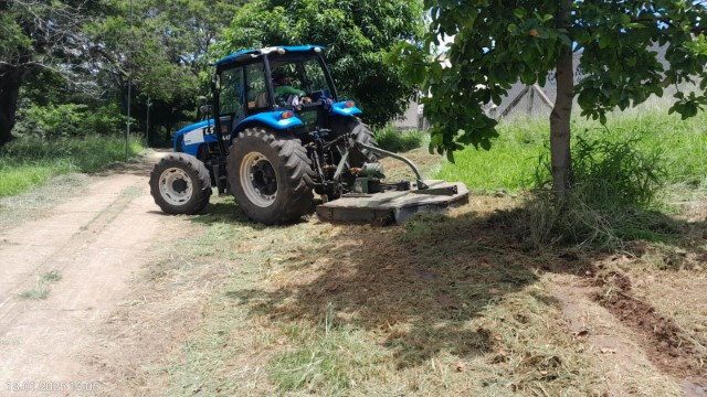 Zeladoria de espaços públicos contempla Praça CEU e Parque Nelson Bugalho