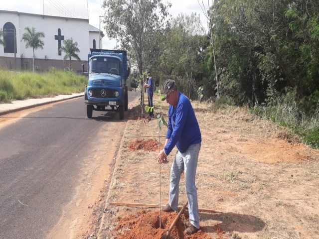 Semea realiza plantio de mudas nativas em avenida