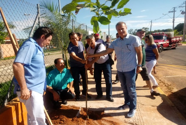 Programação da Semana do Meio Ambiente inclui plantio e distribuição de mudas