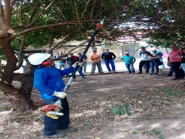 Curso de Podas aborda técnicas de jardinagem e legislação ambiental